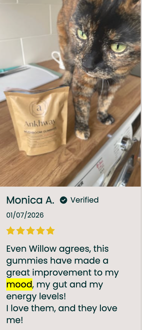 Ankhway customer review — Mood